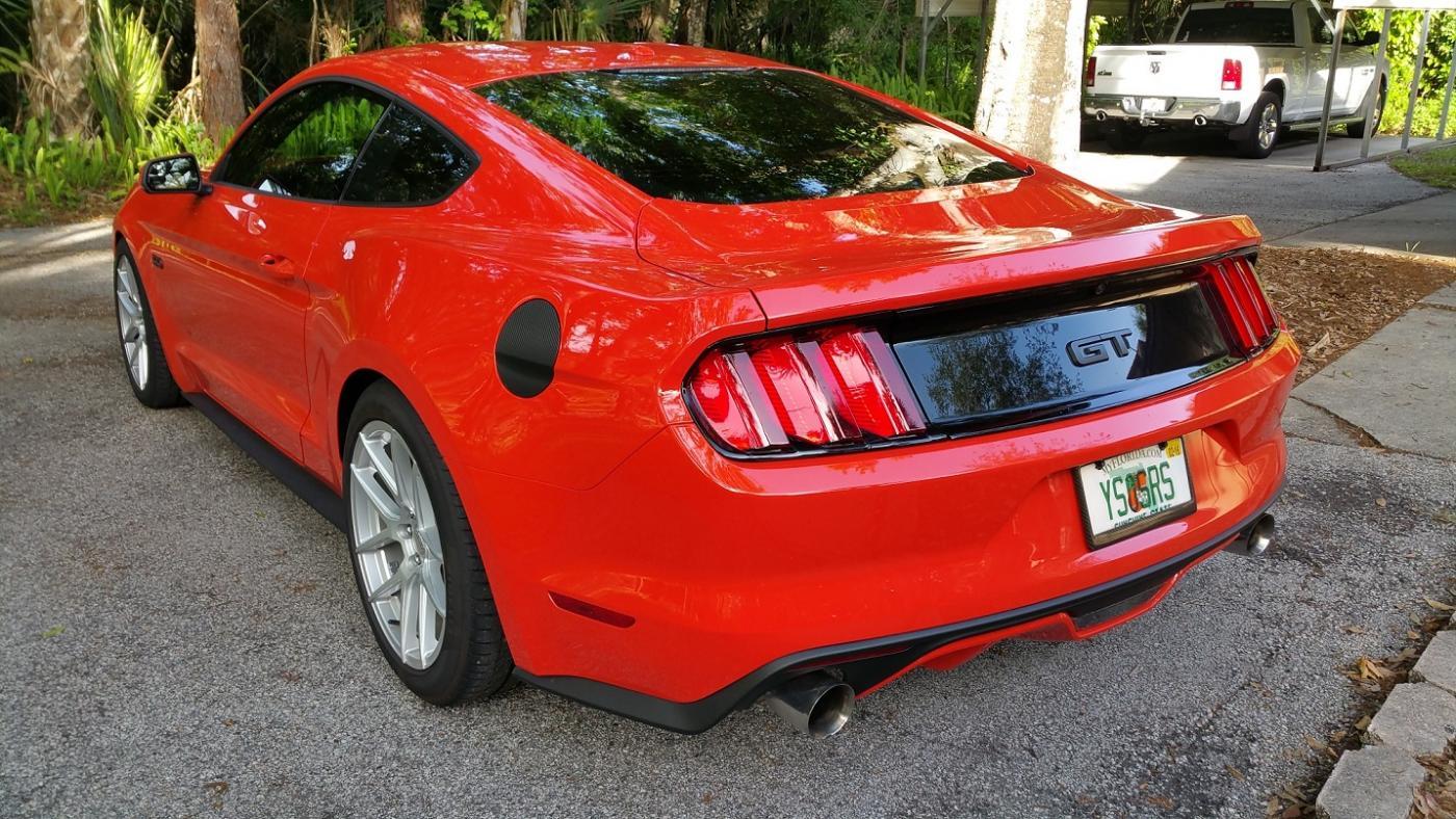 tlt.jpg