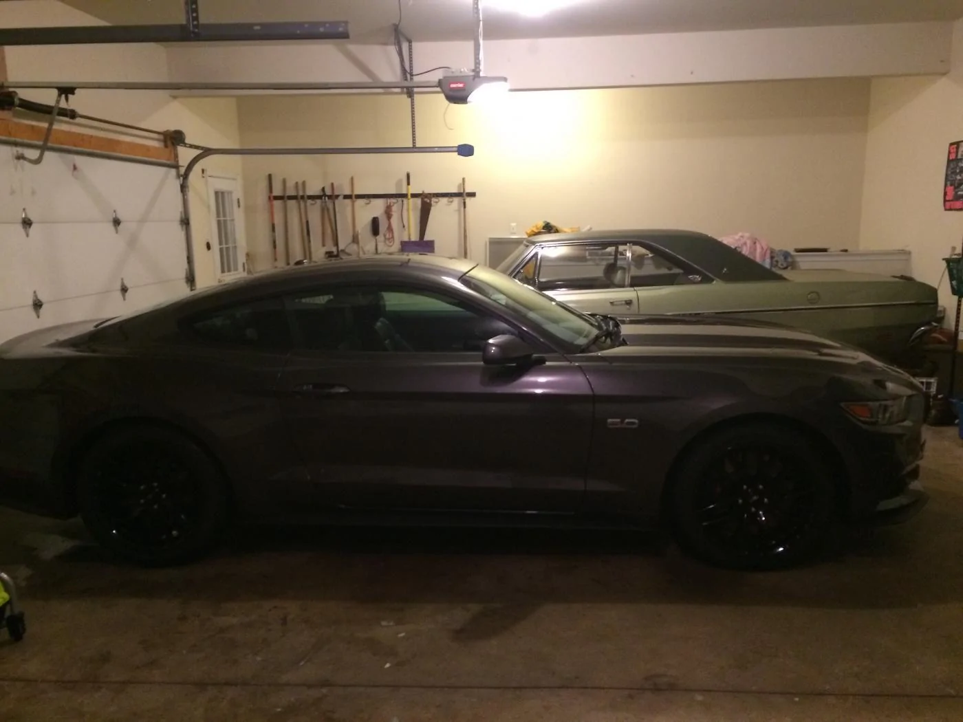 Mustang & Dart.webp