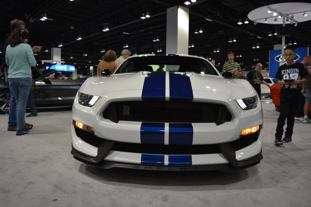 Shelby Front.webp