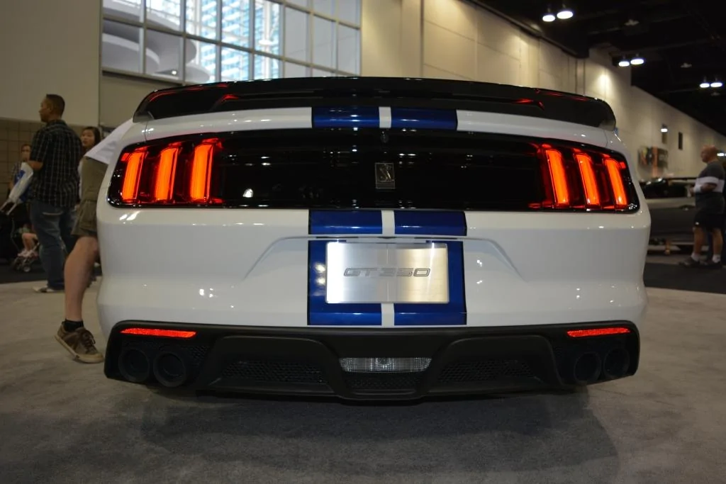 Shelby Rear.webp