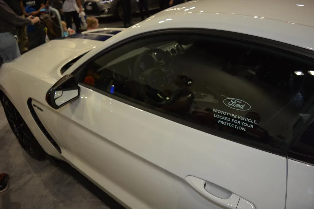 Shelby Window.webp