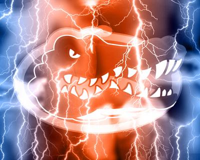 gator_lightning.jpg