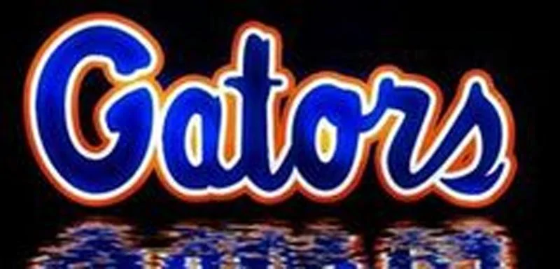 gator 3.webp