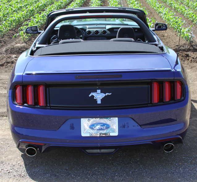To Stripe, back,1000**.jpg
