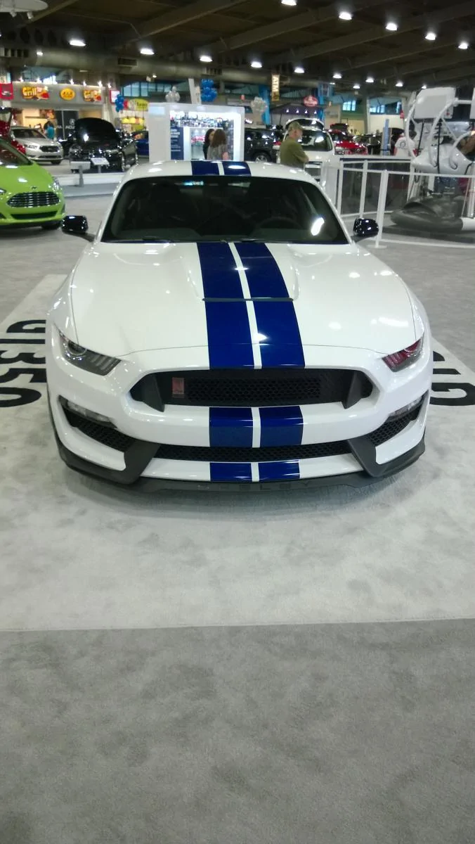 WP_20150417_002.webp