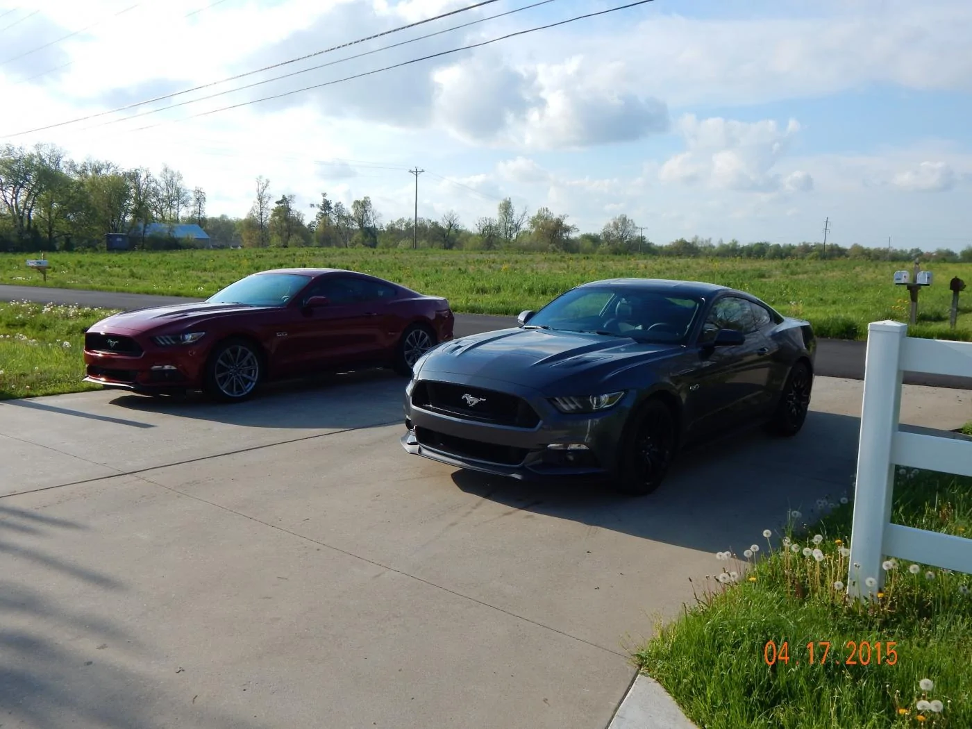 DSCN0243.webp
