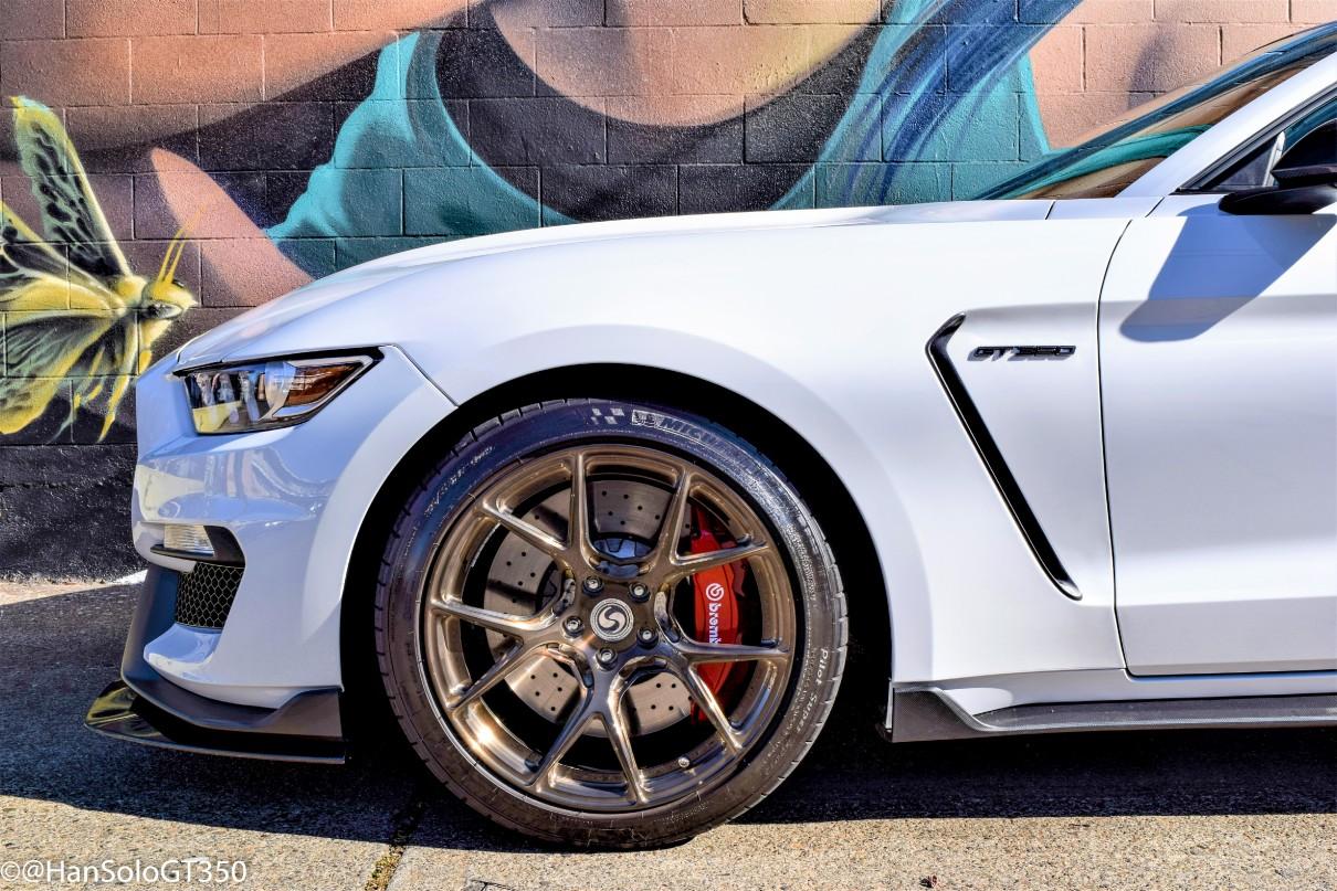 Fairy_GT350_6_of_6.jpg