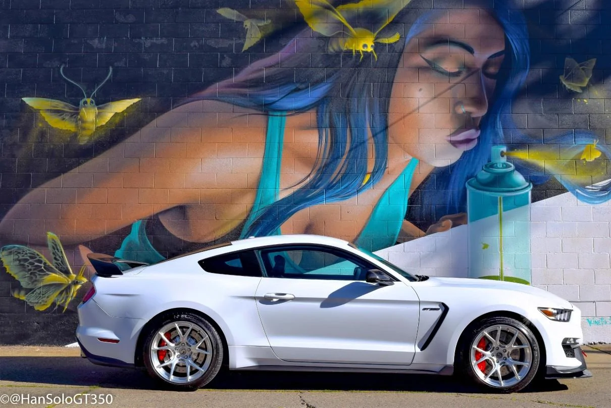 Fairy_GT350_1_of_6.jpg