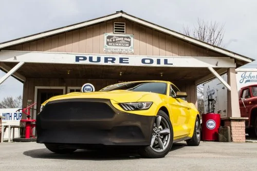 novi%20stang%201.webp