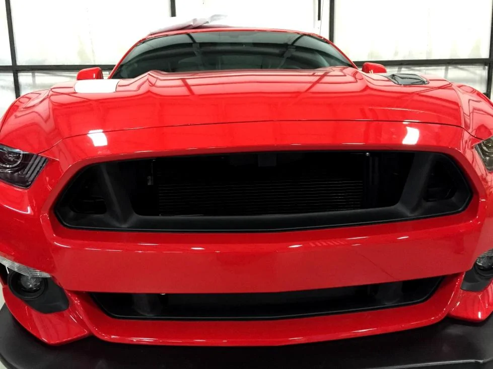 2015mustanggrilledelete1.webp