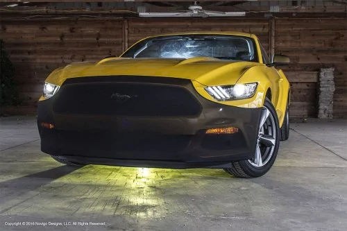 novi%20stang.webp