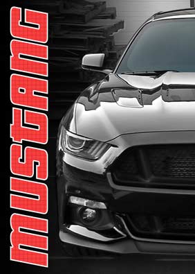 sale-items-mustang.jpg