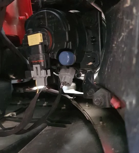 bulb.webp