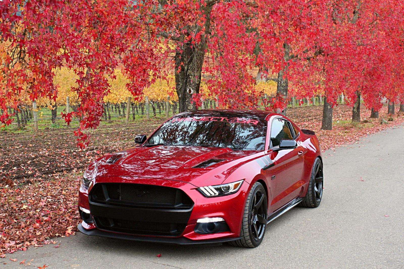 38919839311_c3860ab4e0_k.jpg