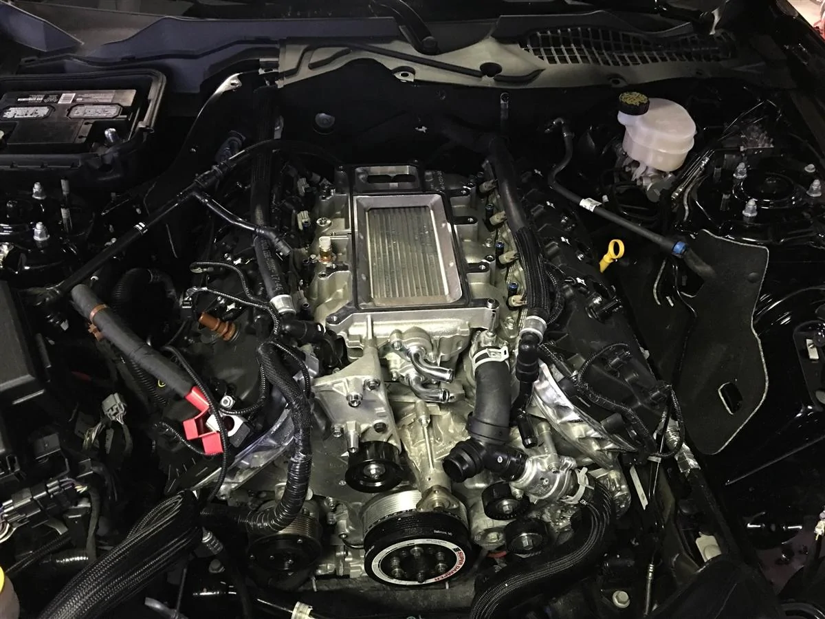 50L8RIB-4.webp