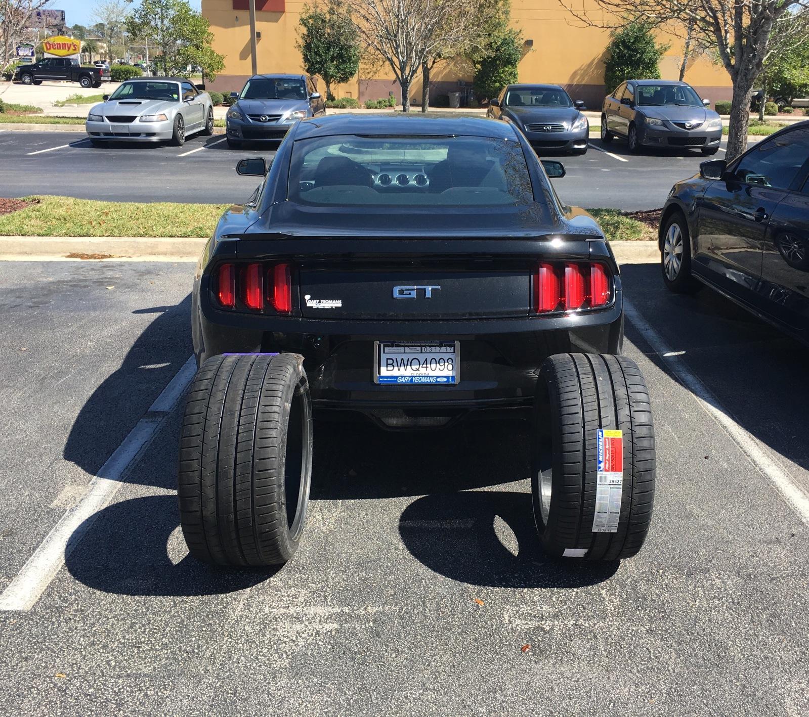 huro1f.jpg