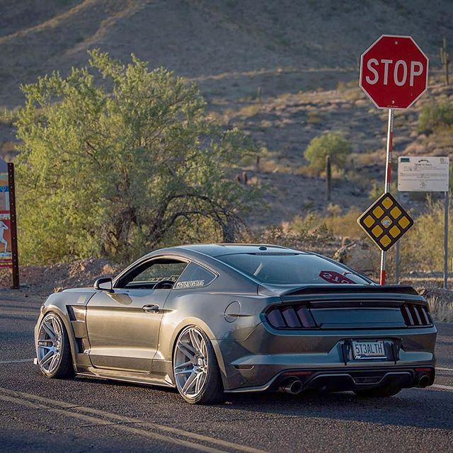 stealthstang-magnetic-ford-musatng-gtpp-forgestar-f14-super-deep-concave-wheels.jpg