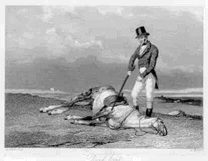 88610-beating-dead-horse-gif-imgur-gxz1.gif