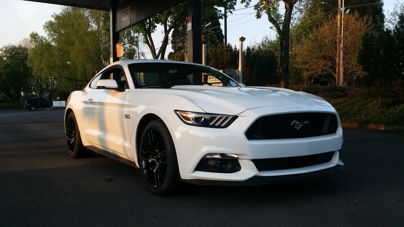 mustang new.webp