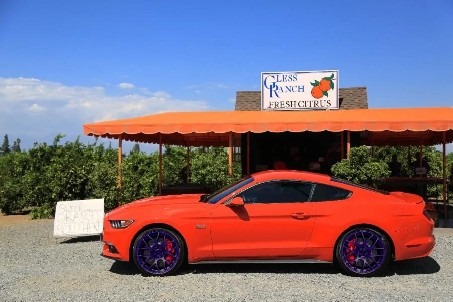 2015-Mustang-GT-Orange-Grove-1.webp