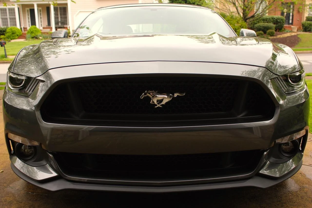 1501 Mustang - 9606.webp