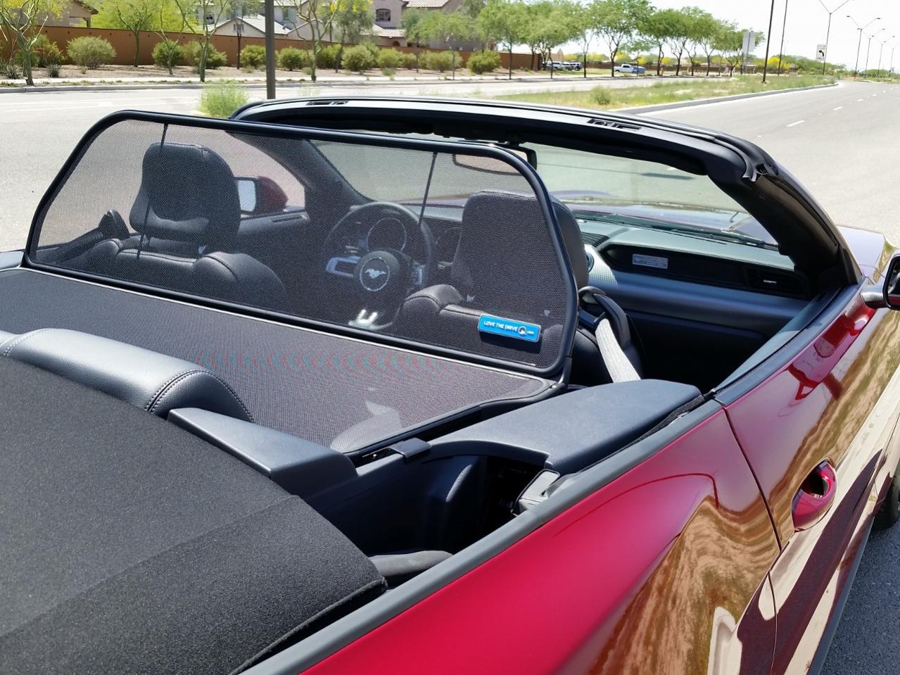 windscreen2 (1280x960).jpg