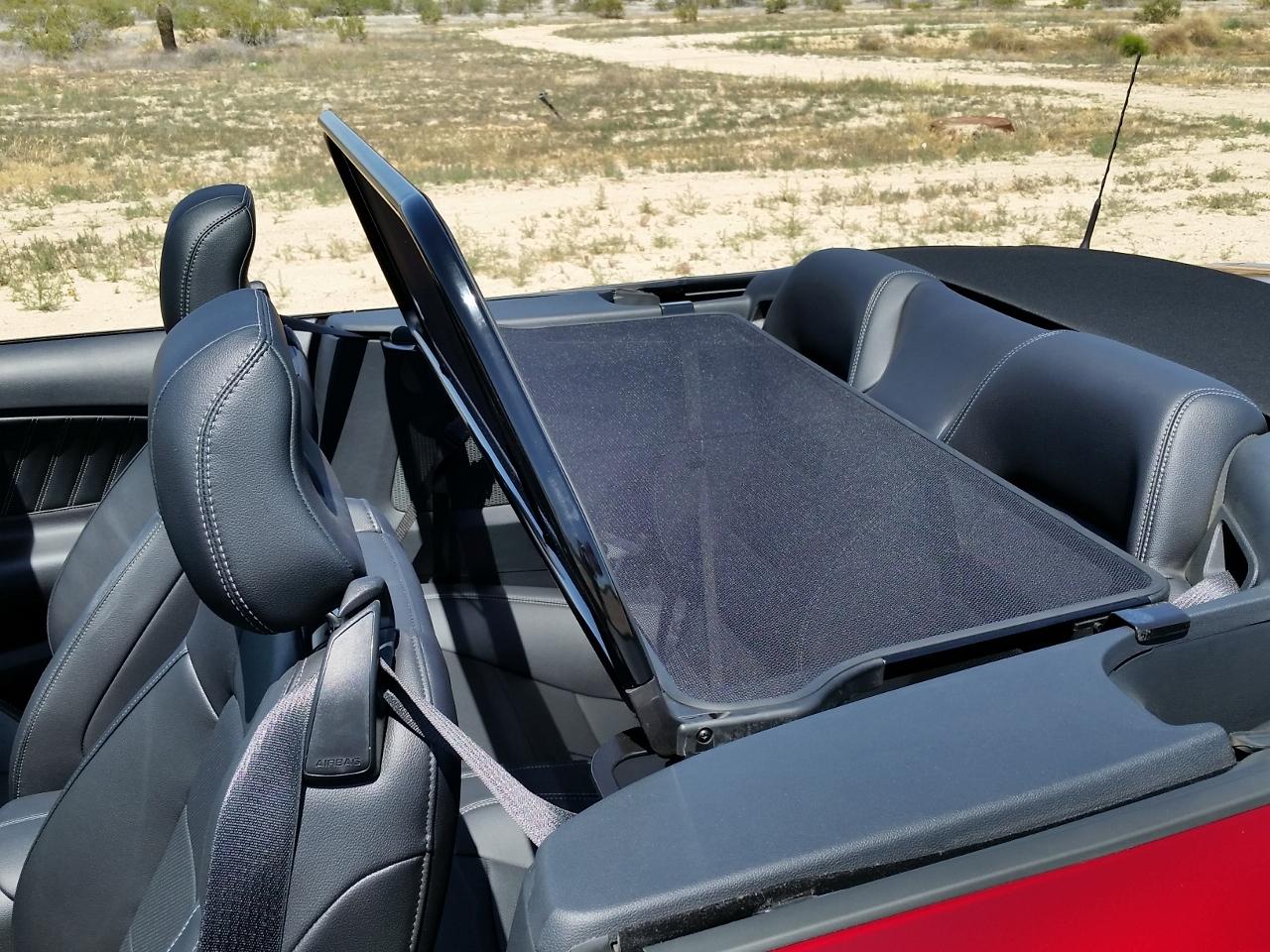 windscreen5 (1280x960) (2).jpg