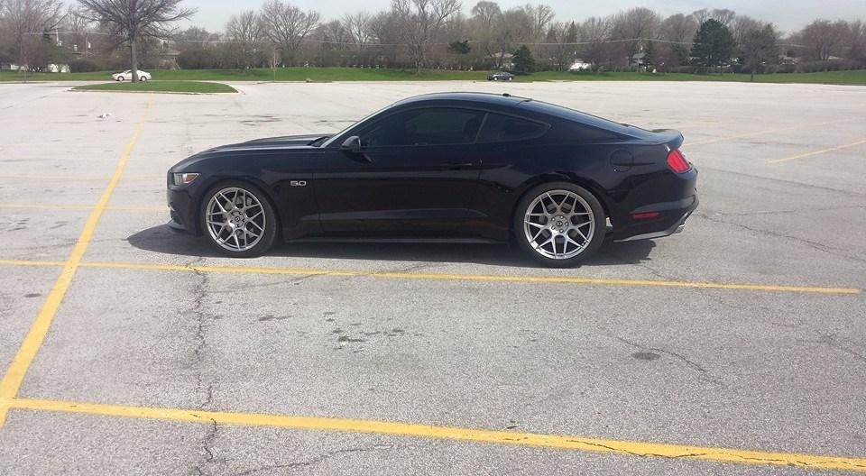 mustang1.jpg