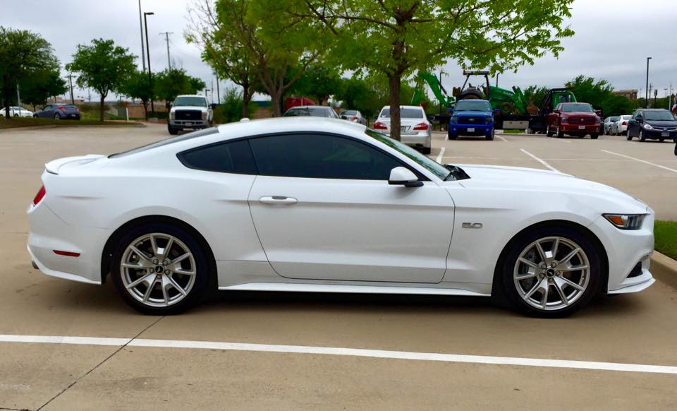 mustang2.jpg
