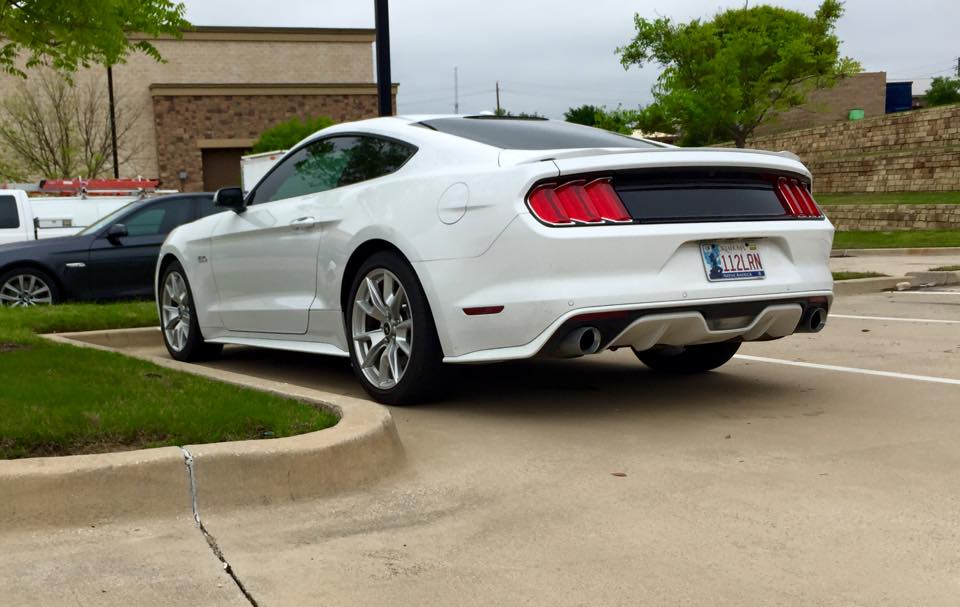 mustang1.jpg