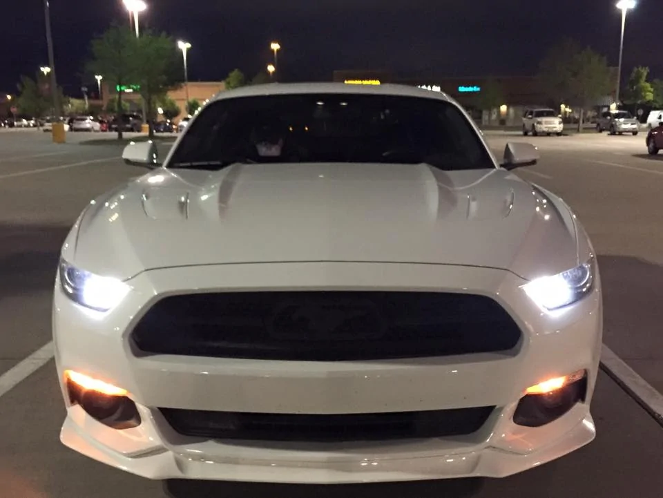 mustang3.webp