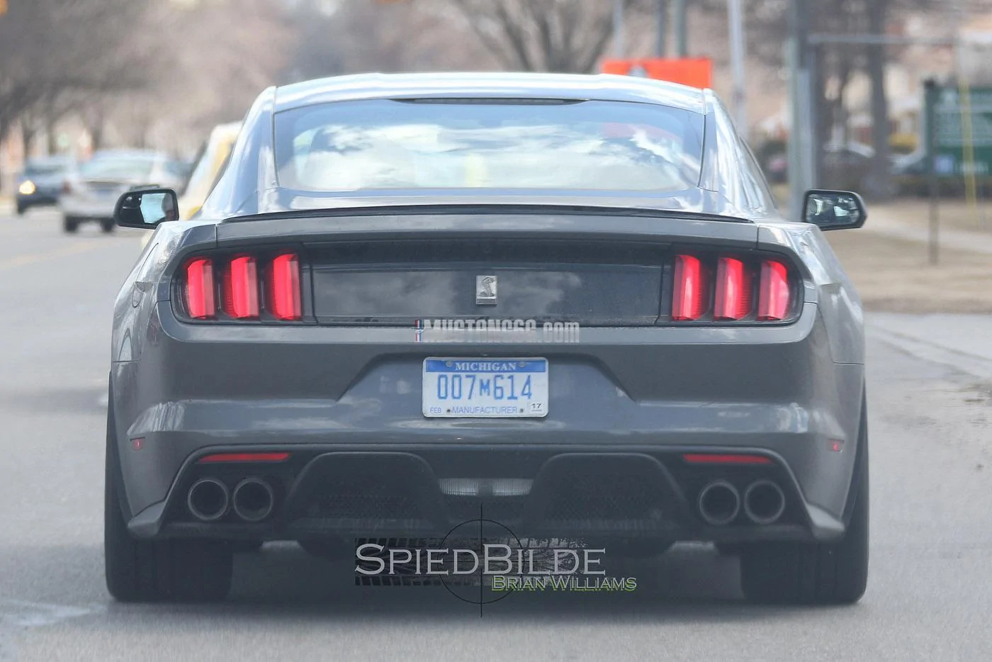 GT350 Mustang Magnetic -1.webp