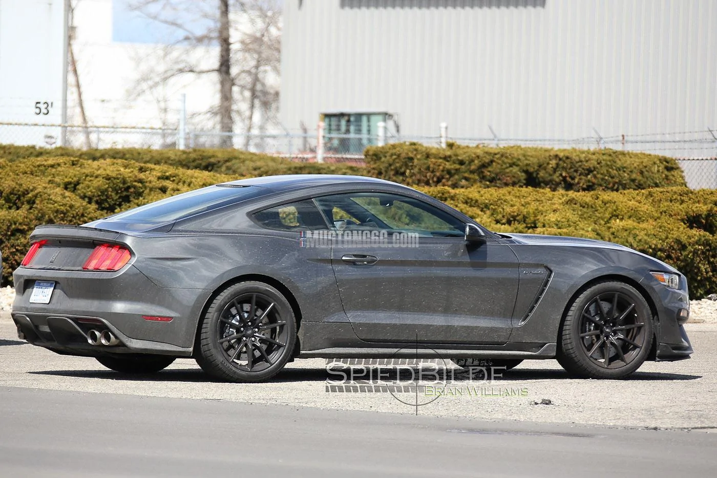 GT350 Mustang Magnetic -3.webp