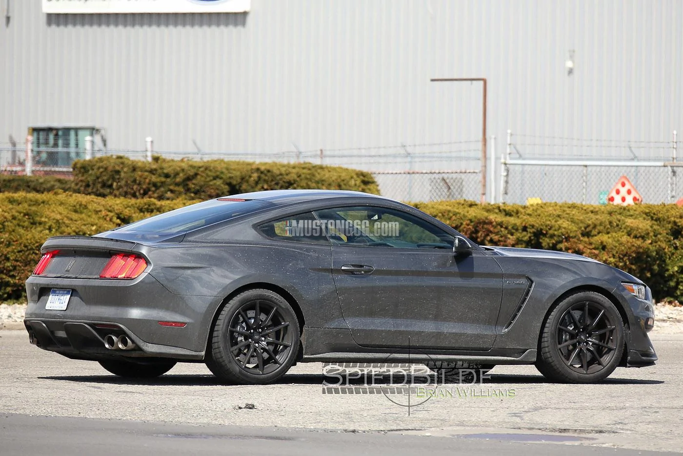 GT350 Mustang Magnetic -5.webp