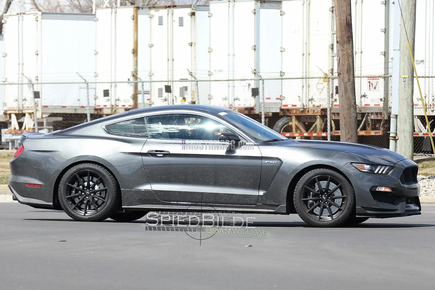 GT350 Mustang Magnetic -6.webp