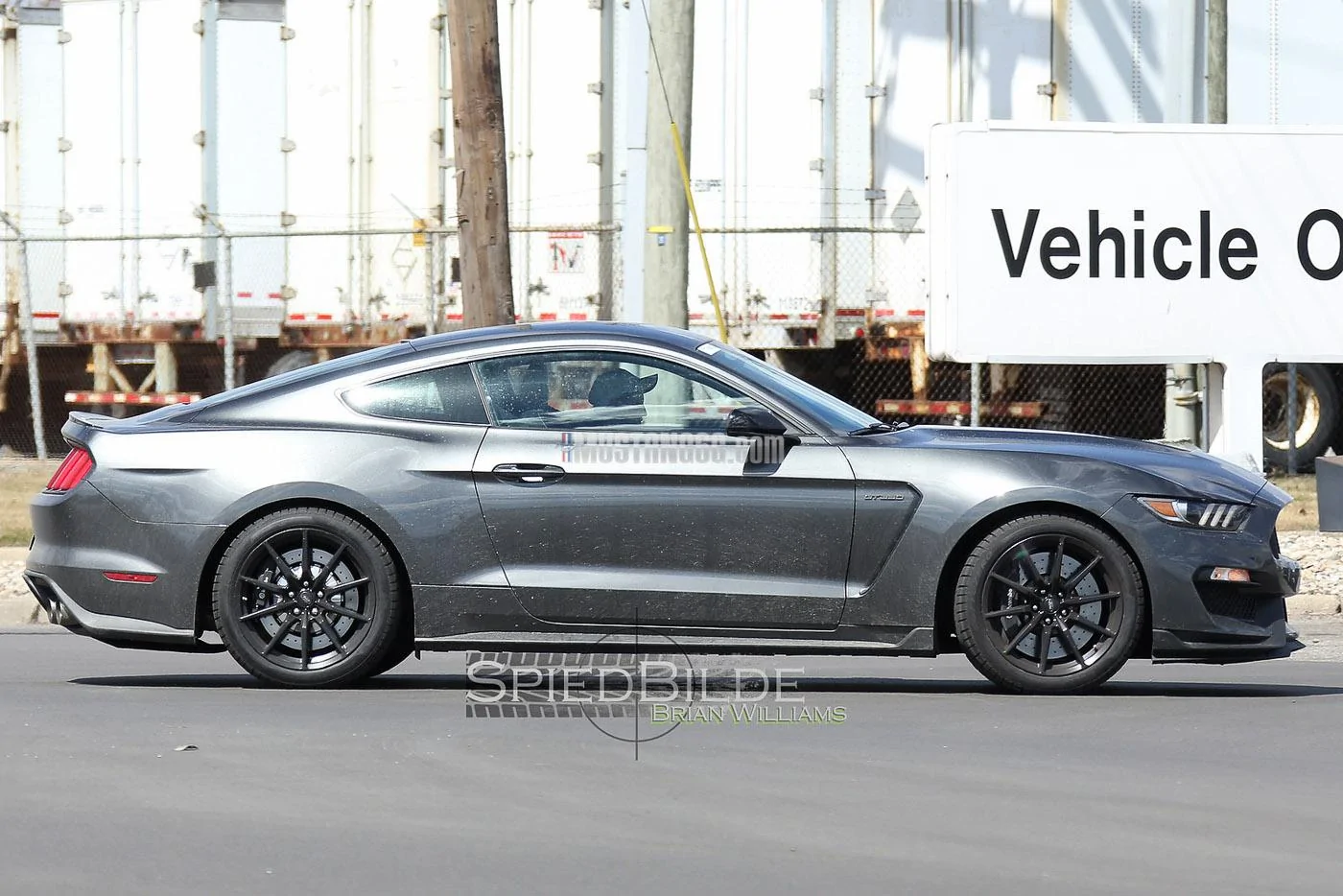 GT350 Mustang Magnetic -7.webp