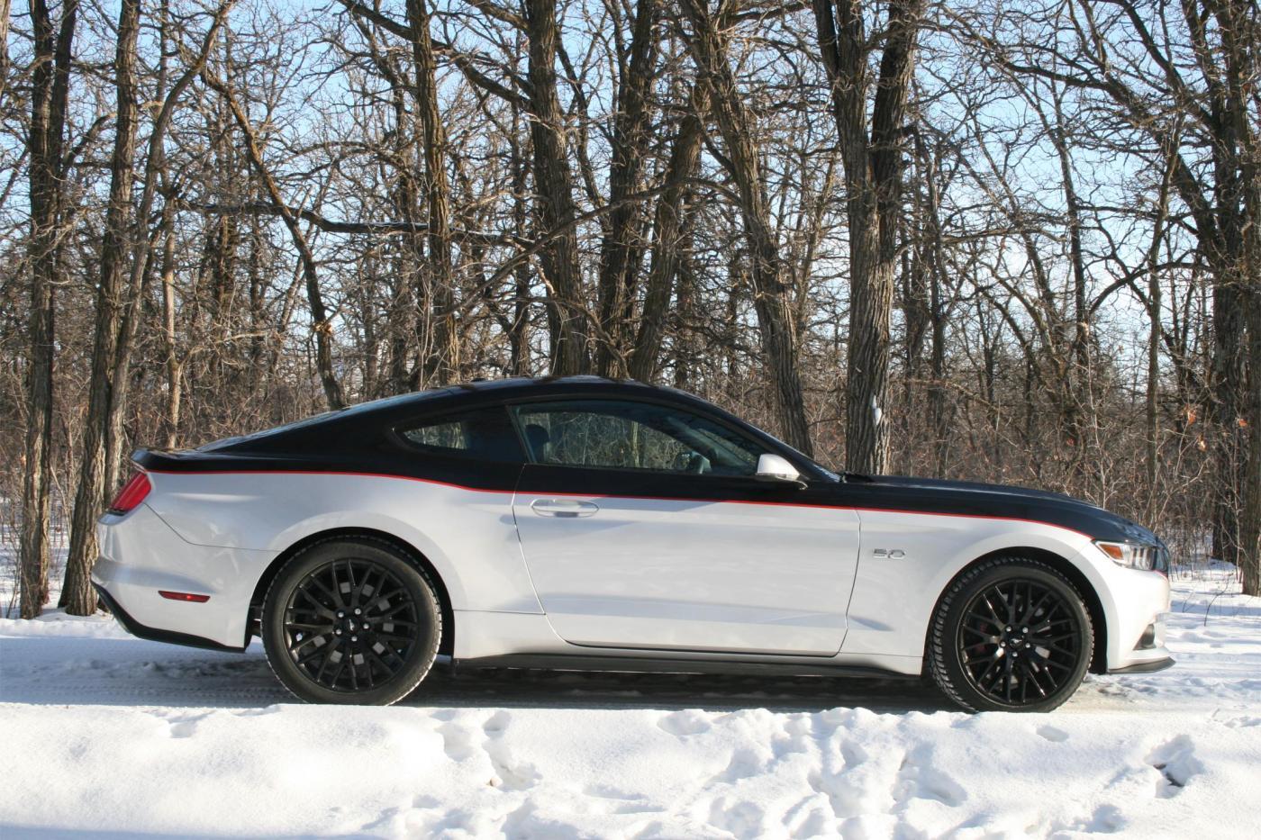 wrap2.jpg