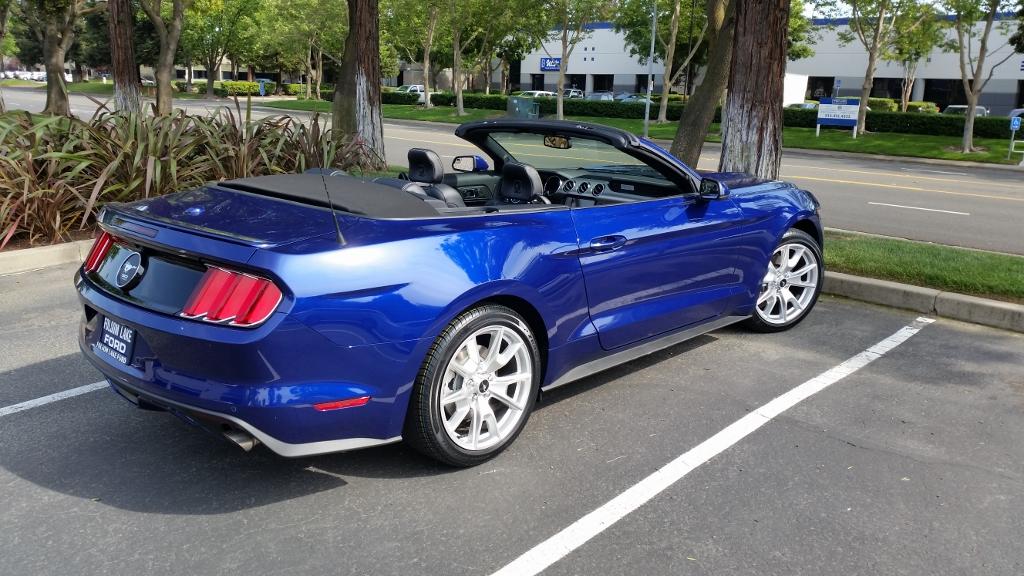 mustang1.jpg
