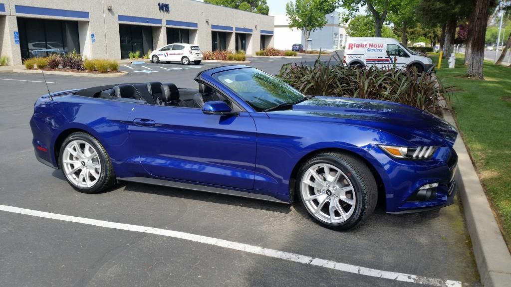 mustang2.jpg