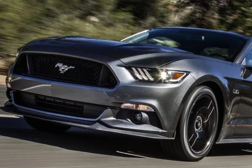 2015 Mustang GT Lower Grill (2).webp