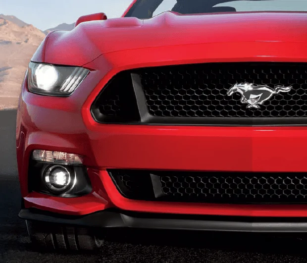 2015 Mustang GT Lower Grill (3).webp
