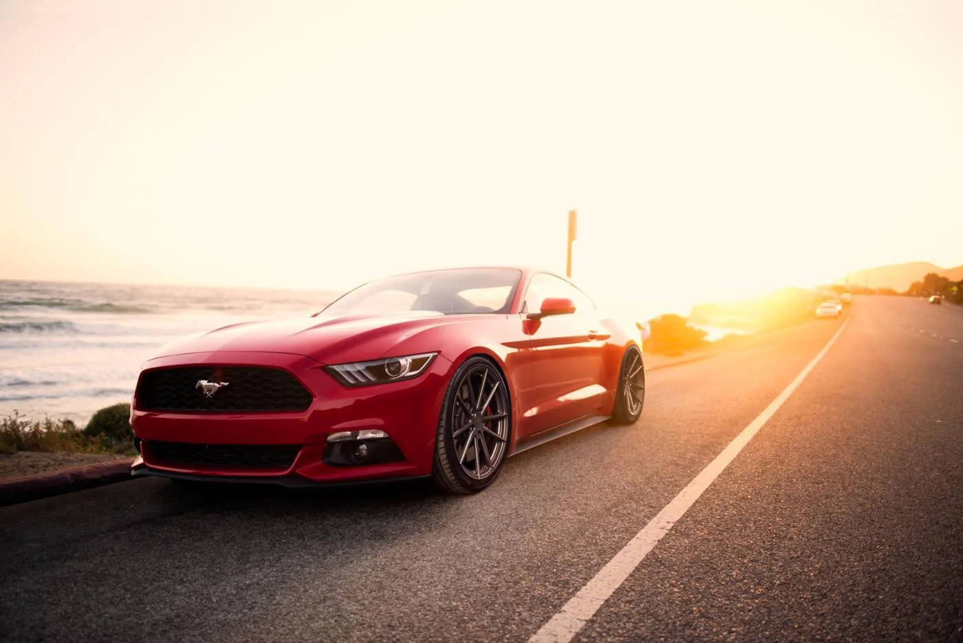 Stance.webp