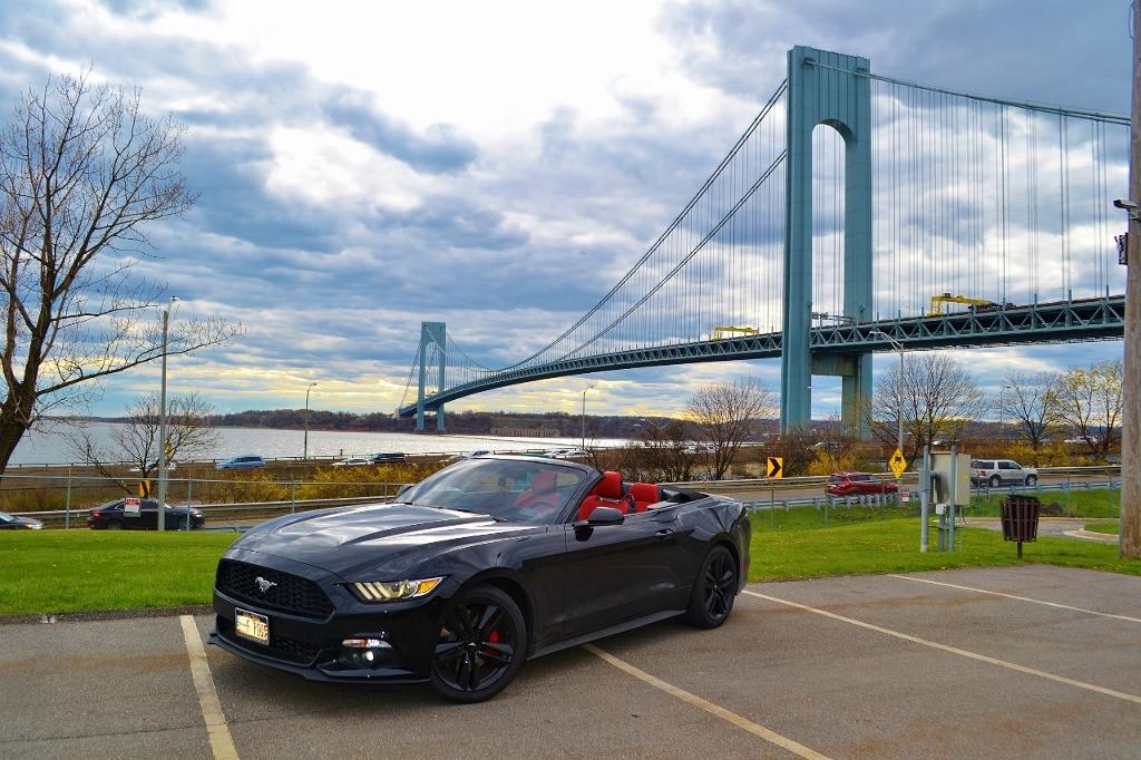 DSC_0020 (1280x853) (1024x682).jpg