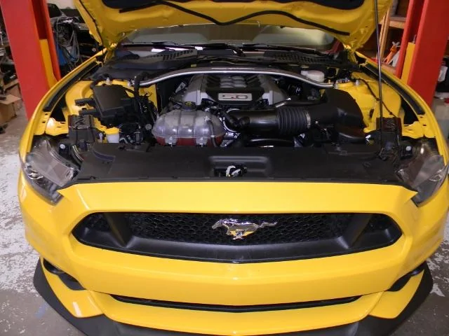 DSCN4651 (640x480).webp
