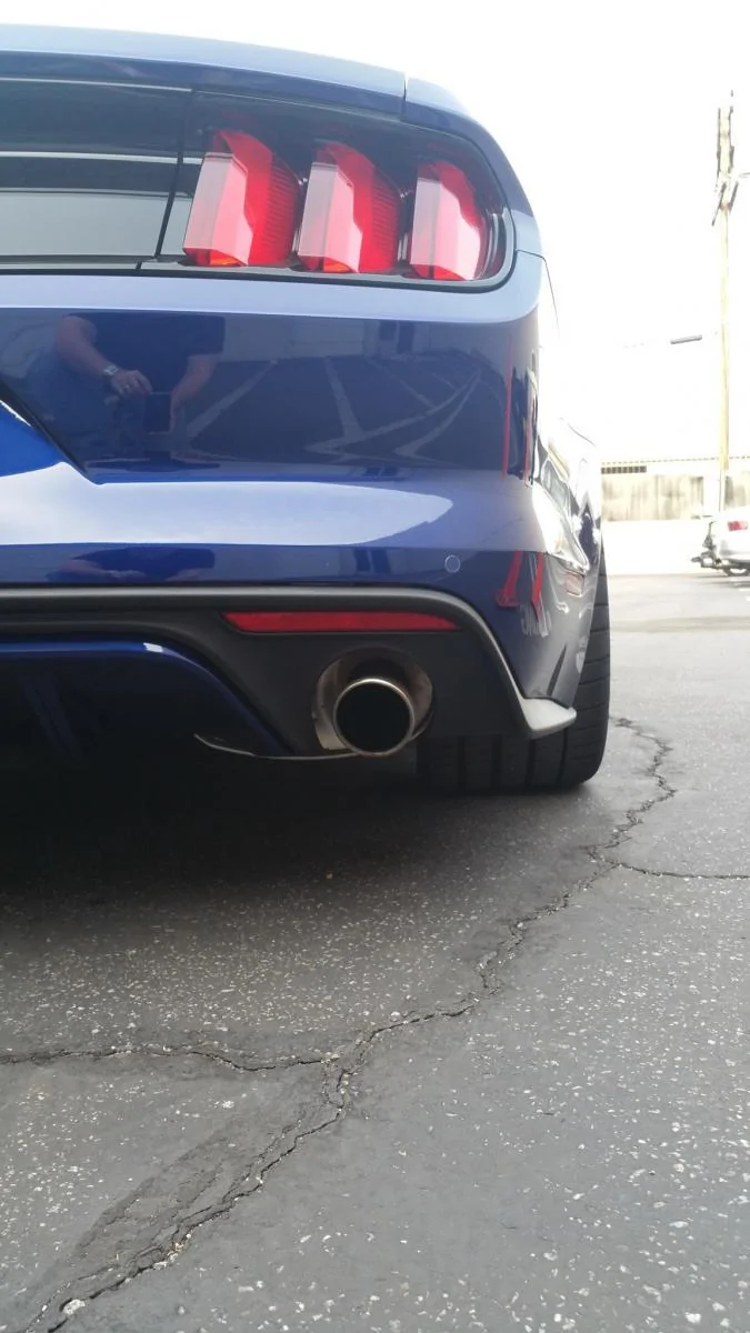must_right_rear_lowshot.webp