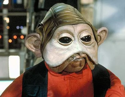 news_au_characters_niennunb_4038ea86.webp
