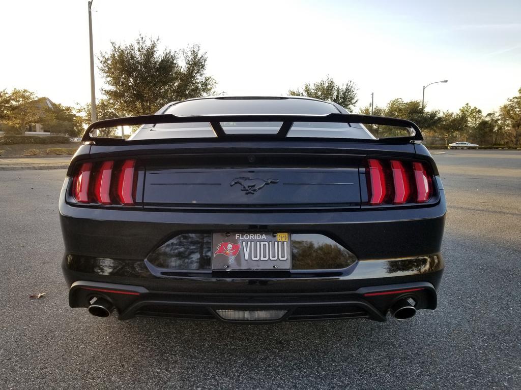 39320956695_19b316110d_b.jpg