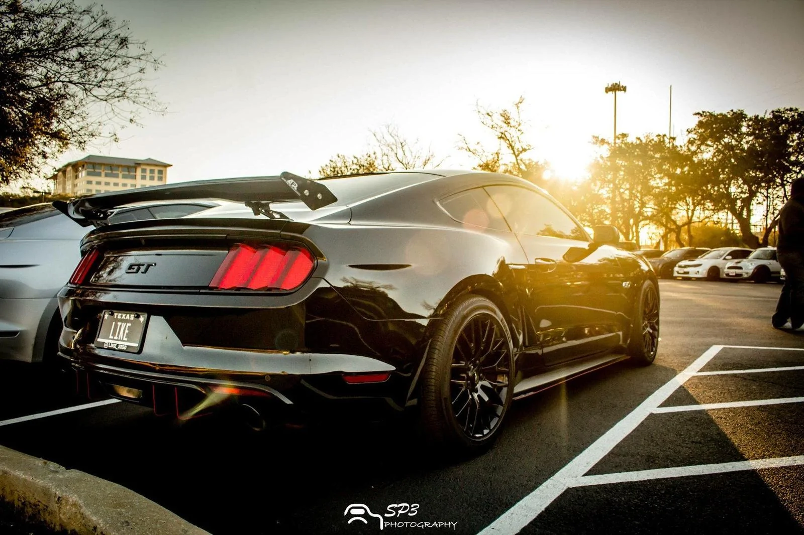 38439686100_72ae9b1741_k.webp
