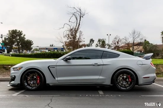avalanche-grey-the-grey-ford-mustang-shelby-gt350r-forgeline-vx1r-gloss-black-concave-wheels.webp