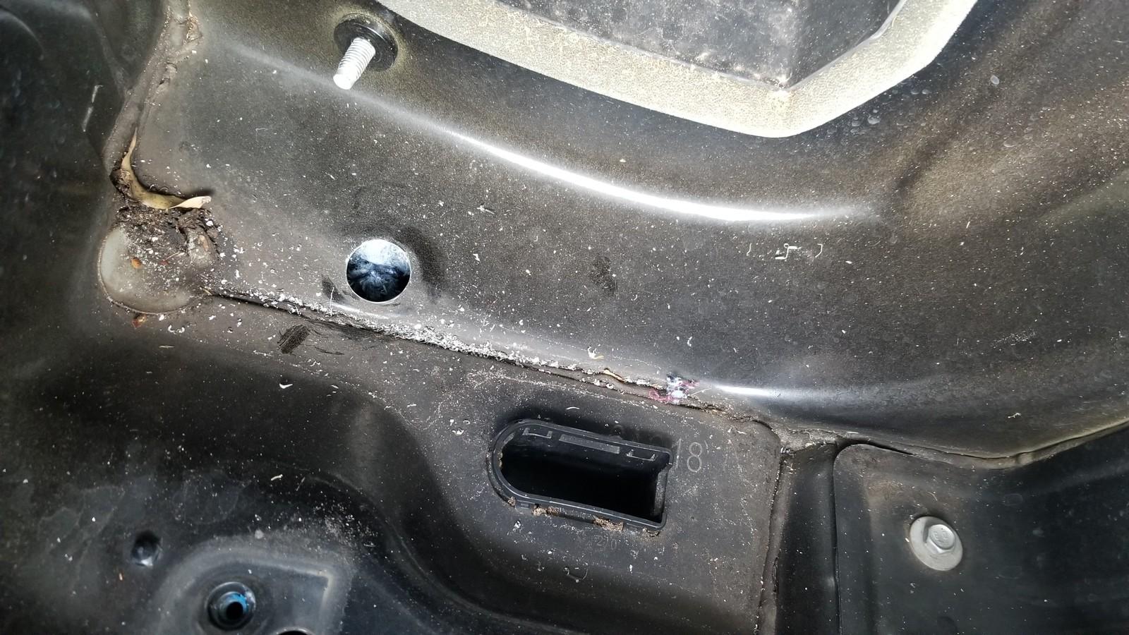 20180227_084552.jpg